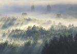 SISTEMA SYMPHONIA - Symphonia SGR
