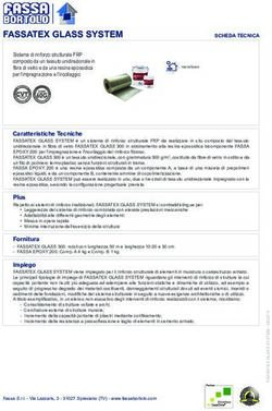 FASSATEX GLASS SYSTEM - Fassa Bortolo