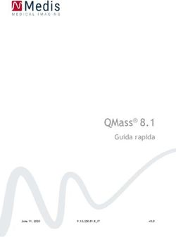 QMass 8.1 Guida rapida - Medis Medical Imaging