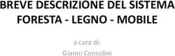 BREVE DESCRIZIONE DEL SISTEMA FORESTA - LEGNO - MOBILE - a cura di: Gianni Consolini - LEGNO ...