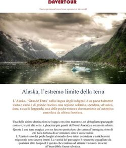 Alaska, l'estremo limite della terra - Davertour