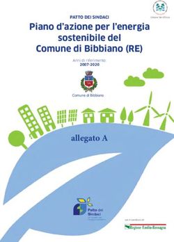 Allegato A - Piano d'azione per l'energia sostenibile del Comune di Bibbiano (RE) - My Covenant