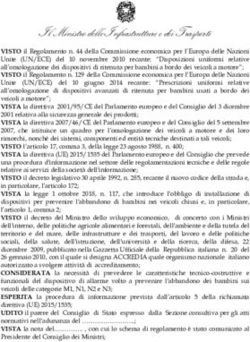 Il Ministro delle Infrastrutture e dei Trasporti - babybeep