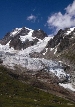 ECONOMIAEAMBIENTE ARTICOLI