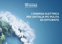 L'ENERGIA ELETTRICA PER UN'ITALIA PIÙ PULITA ED EFFICIENTE