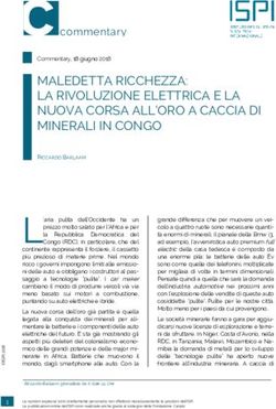 MALEDETTA RICCHEZZA: LA RIVOLUZIONE ELETTRICA E LA NUOVA CORSA ALL'ORO A CACCIA DI MINERALI IN CONGO