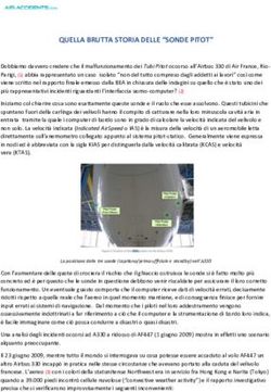 QUELLA BRUTTA STORIA DELLE "SONDE PITOT" - Air ...