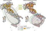 OMOGENEIT&Agrave; ED ETEROGENEIT&Agrave; DELLO SVILUPPO INDUSTRIALE ITALIANO TRA IL 2008 E IL 2016 - Annarita Mancini () Francesco Giovanni ...