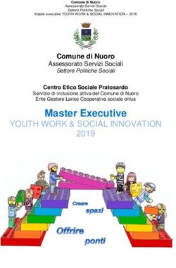 Master Executive YOUTH WORK & SOCIAL INNOVATION - Lariso