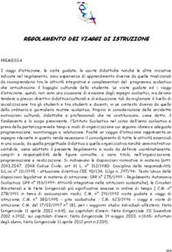 REGOLAMENTO DEI VIAGGI DI ISTRUZIONE