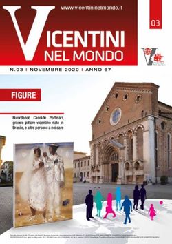FIGURE - Vicentini nel Mondo
