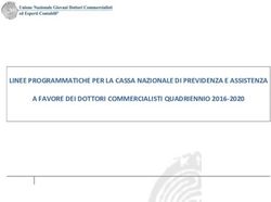 LINEE PROGRAMMATICHE PER LA CASSA NAZIONALE DI PREVIDENZA E ASSISTENZA A FAVORE DEI DOTTORI COMMERCIALISTI QUADRIENNIO 2016-2020
