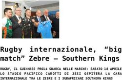 Rugby internazionale, "big match" Zebre - Southern Kings - RUGBY, IL GUINNESS PRO14 SBARCA NELLE MARCHE: SABATO 18 APRILE LO STADIO PACIFICO ...