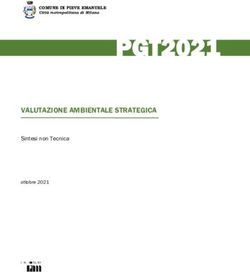 PGT2021 VALUTAZIONE AMBIENTALE STRATEGICA - COMUNE DI PIEVE EMANUELE