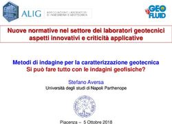 Nuove normative nel settore dei laboratori geotecnici aspetti innovativi e criticità applicative - Laboratorio Technogeo
