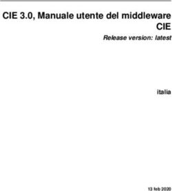 CIE 3.0, Manuale utente del middleware CIE  Primo utilizzo della CIE con  il Middleware