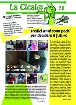 Tredici anni sono pochi per decidere il futuro - IC San Cipriano Picentino