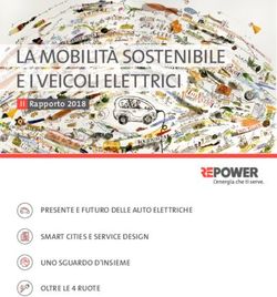 LA MOBILIT&Agrave; SOSTENIBILE E I VEICOLI ELETTRICI - II Rapporto 2018 PRESENTE E FUTURO DELLE AUTO ELETTRICHE - Repower