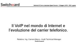 IL VOIP NEL MONDO DI INTERNET E L'EVOLUZIONE DEL CARRIER TELEFONICO - RELATORE: ING. CARRERA MARCO - AUDIT TECHNICAL MANAGER SWITCHWARD