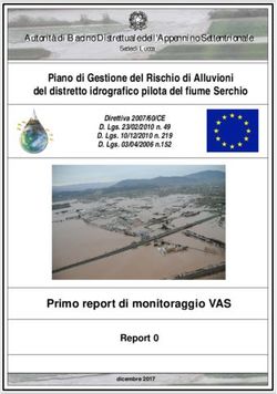 Del distretto idrografico pilota del fiume Serchio - Autorità di Bacino del ...