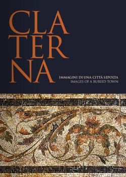 CLA TER NA IMMAGINI DI UNA CITT&Agrave; SEPOLTA IMAGES OF A BURIED TOWN