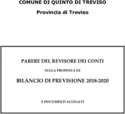 COMUNE DI QUINTO DI TREVISO - Provincia di Treviso - BILANCIO DI PREVISIONE 2018-2020