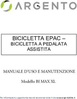 BICICLETTA EPAC - BICICLETTA A PEDALATA ASSISTITA - MANUALE D'USO E MANUTENZIONE Modello BI MAX XL - BICICLETTA EPAC