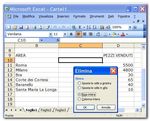 Microsoft Excel Nozioni di base - Roberto Mariconda