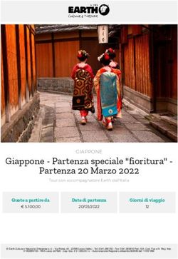 Giappone - Partenza speciale "fioritura" - Partenza 20 Marzo 2022 - Earth ...