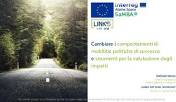 Cambiare i comportamenti di mobilità: politiche di successo e strumenti per la valutazione degli impatti