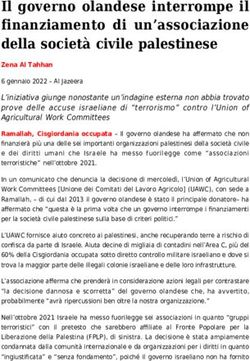 Il governo olandese interrompe il finanziamento di un'associazione della società civile palestinese - Zeitun