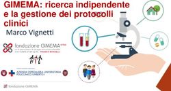 GIMEMA: ricerca indipendente e la gestione dei protocolli clinici - Marco Vignetti - campus cml