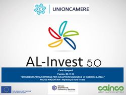 "STRUMENTI PER LE IMPRESE PER SVILUPPARE BUSINESS IN AMERICA LATINA" - Camera di Commercio Italo-Argentina