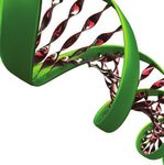 Genetica ed epigenetica, a ciascuno il suo olio - UniBa