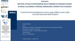 CRITICITA' ATTUALI DI PREVENZIONE NELLE FONDERIE DI SECONDA FUSIONE DI GHISA E ALLUMINIO: EVIDENZE CONSOLIDATE PROSPETTIVE DI RICERCA