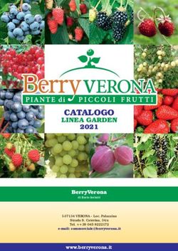 CATALOGO LINEA GARDEN 2021 - BerryVerona - Berry Verona
