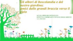 Gli alberi di Boscolandia e del nostro giardino; amici dalle grandi braccia verso il cielo - SCUOLA PRIMARIA DI BAZZANO ISTITUTO COMPRENSIVO ...