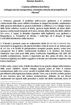 Hermes Zaneti Jr., L'azione collettiva brasiliana: sviluppo storico comparativo, momento attuale ed prospettive di