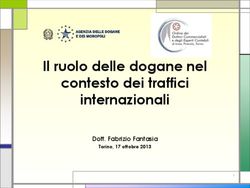Il ruolo delle dogane nel contesto dei traffici internazionali - Dott. Fabrizio Fantasia