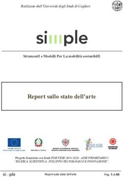 Report sullo stato dell'arte - SIMPLE