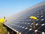 Il mercato delle rinnovabili e il nuovo Conto Energia - Paolo Ricci - Consigliere Delegato TerniEnergia
