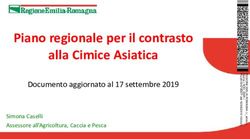 Piano regionale per il contrasto alla Cimice Asiatica - Documento aggiornato al 17 settembre 2019 - Coferasta