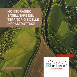 MONITORAGGIO SATELLITARE DEL TERRITORIO E DELLE INFRASTRUTTURE