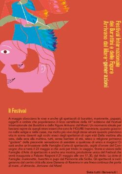 Il Festival - Festival Arrivano dal Mare