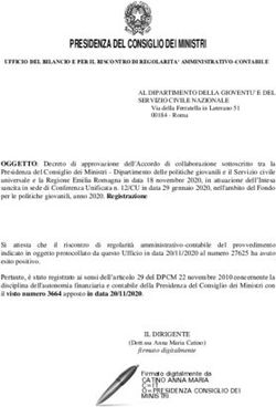 PRESIDENZA DEL CONSIGLIO DEI MINISTRI
