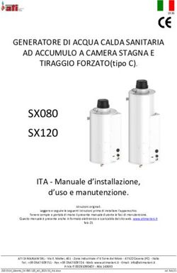 SX120 SX080 GENERATORE DI ACQUA CALDA SANITARIA AD ACCUMULO A CAMERA STAGNA E - ati mariani