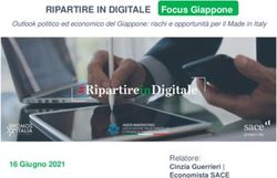 Fare clic per modificare lo stile del titolo - RIPARTIRE IN DIGITALE Focus Giappone - Promos Italia