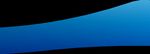 "POINT OF CARE OF ULTRASOUND" IN NEFROLOGIA - CORSO AVANZATO PISA, 18-20 OTTOBRE 2021