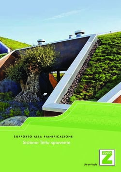 Sistema Tetto spiovente - SUPPORTO ALLA PIANIFICAZIONE - ZinCo.CH