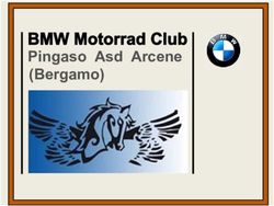 Pingaso Asd Arcene (Bergamo) - BMW Motorrad Club Pingaso